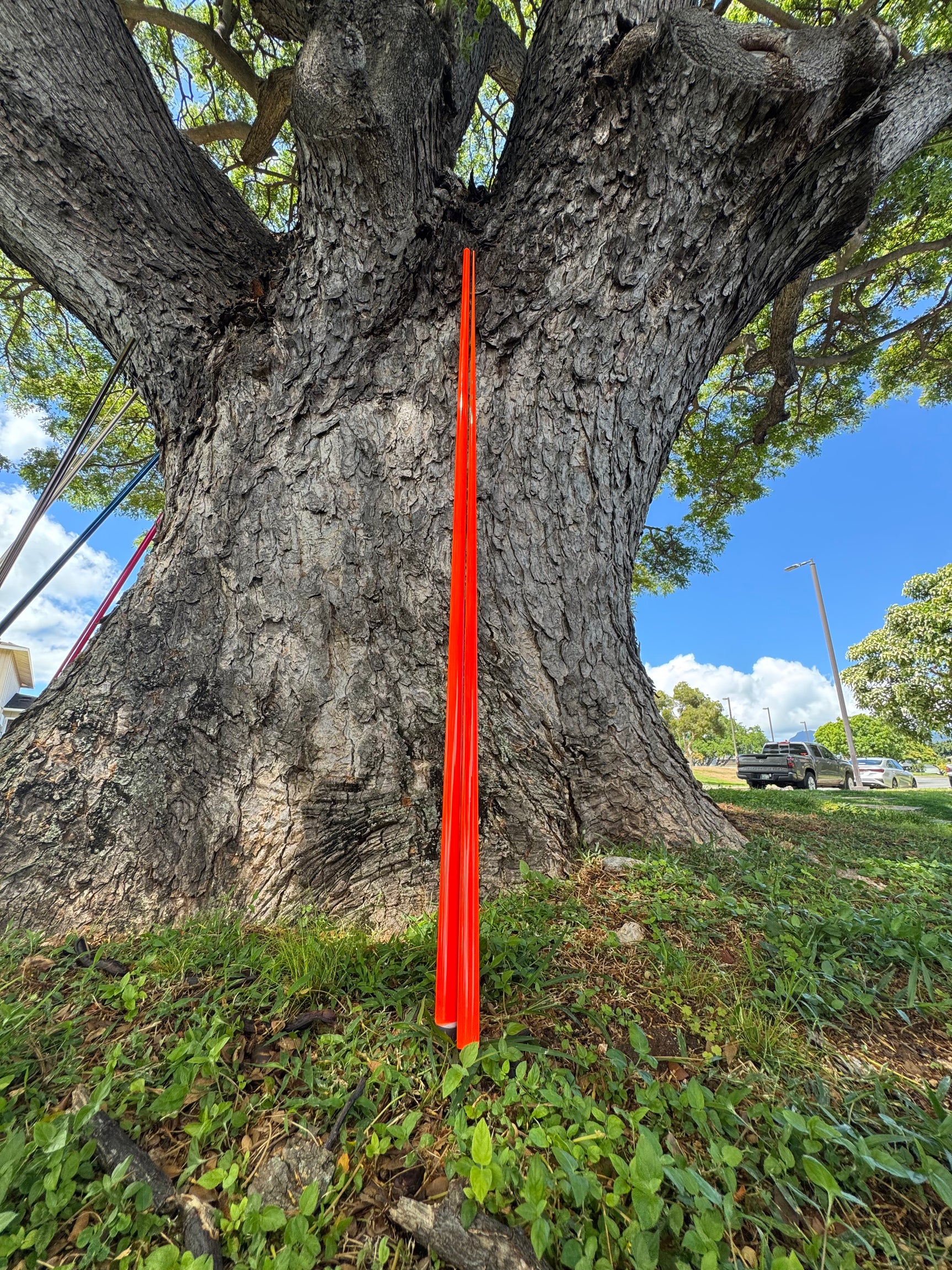 13’6” T30 Carbon Ulua Pole
